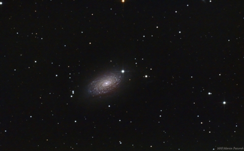 M63-Sunflower Galaxy