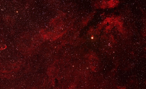 IC1318