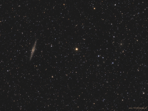 NGC891