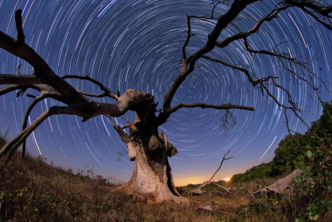 Star Trail