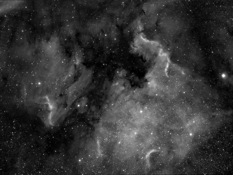 NGC7000-North America Nebula