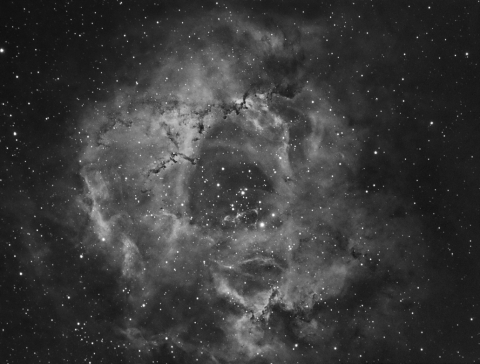 NGC2237-Rosette