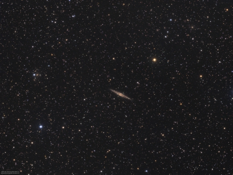 NGC891