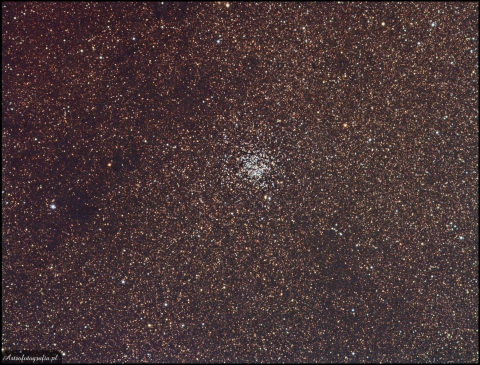 M11-Wild Duck