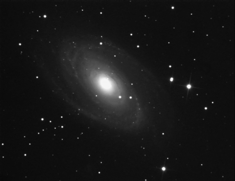 M81