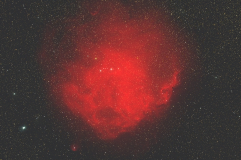 Sh2-264