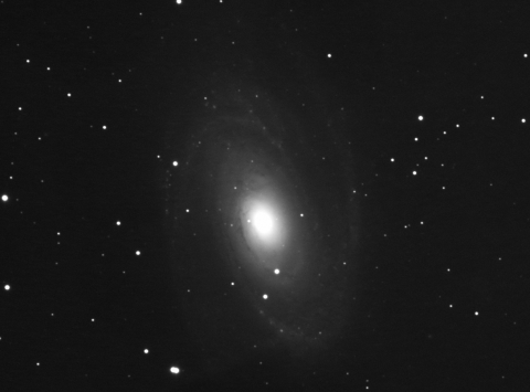 M81