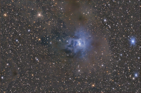 NGC7023