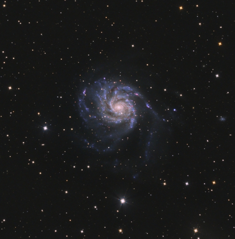 M101