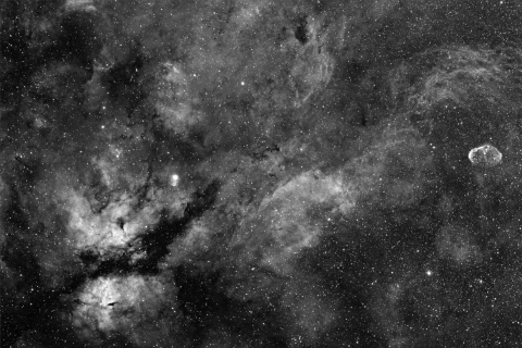 IC1318