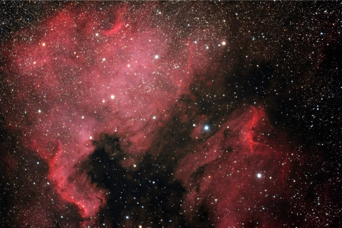 NGC7000-North America Nebula