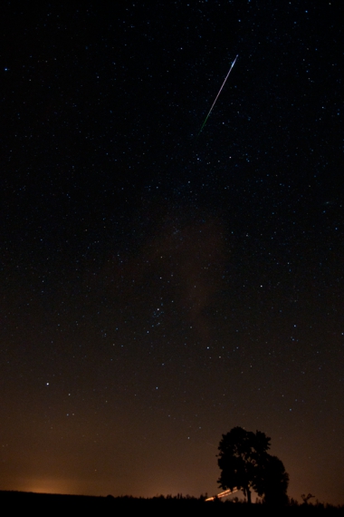 Perseid