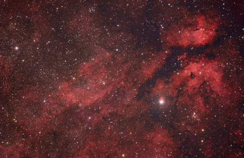 IC1318