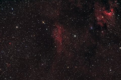 Cepheus widefield