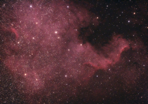 NGC7000-North America Nebula