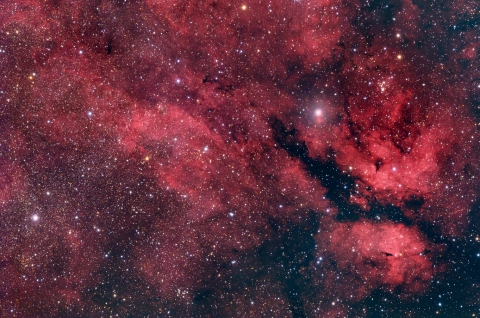 IC1318