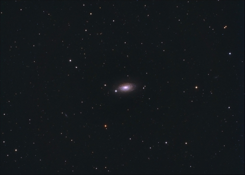 M63-Sunflower Galaxy