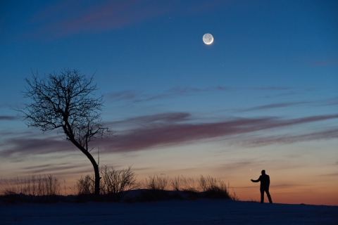 Kometa Panstarrs