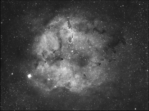 IC1396-Elephant Trunk