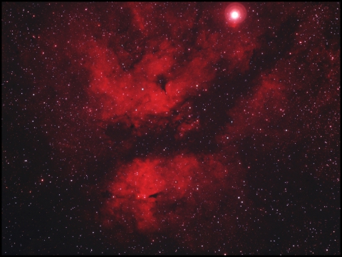 IC1318