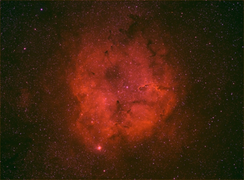 IC1396-Elephant Trunk