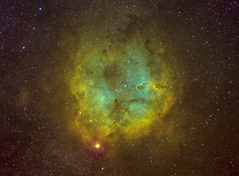 IC1396-Elephant Trunk