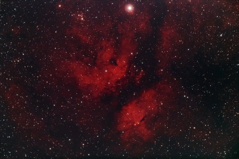 IC1318