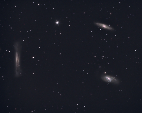 Leo Triplett - M65, M66, NGC3628
