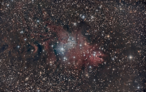 NGC2264-Christmas Tree