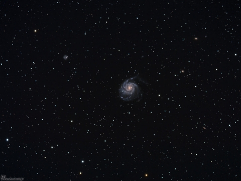 M101