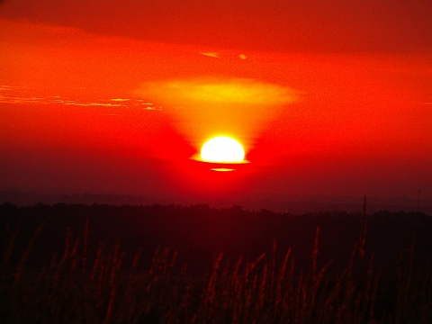 Słońce