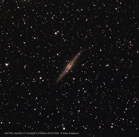 NGC891