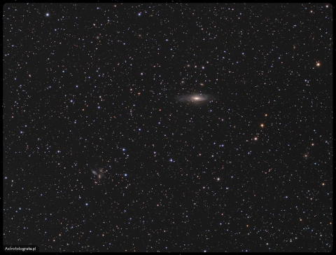 NGC7331